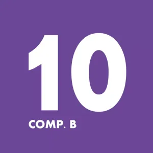 BX Comp. B 10 (4.2 kg)