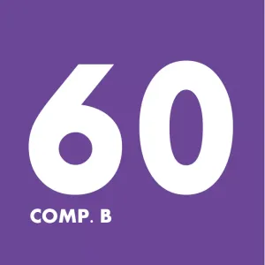 BX Comp. B 60 (3.5 kg)