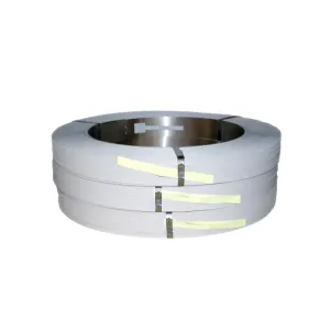 Steel Strip 13mm 1000m