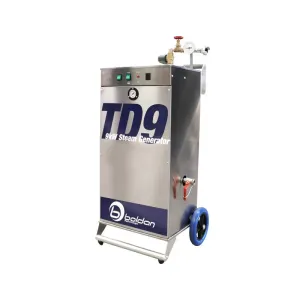 Boldan TD9 Steamer