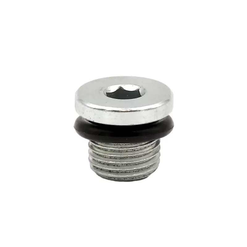 Steam plug 2mm